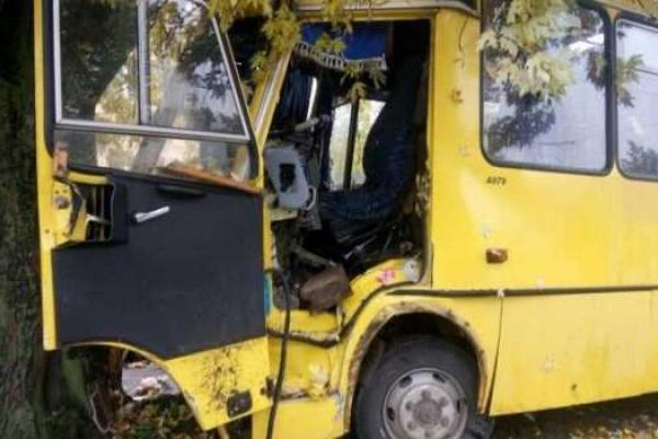 Серьезное ДТП во Львове: 16 пассажиров пострадало при столкновении маршрутки с деревом