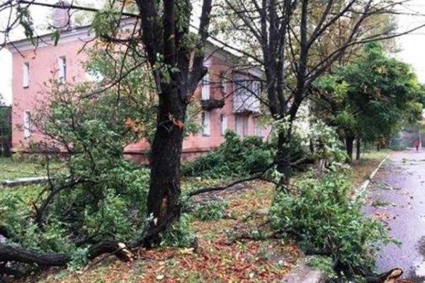 В Донецке бушевала непогода: ветер валил деревья, рвал провода и срывал шифер с крыш