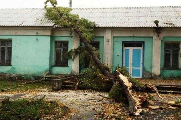 В Донецке бушевала непогода: ветер валил деревья, рвал провода и срывал шифер с крыш
