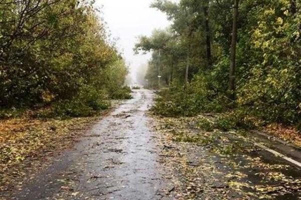 В Донецке бушевала непогода: ветер валил деревья, рвал провода и срывал шифер с крыш