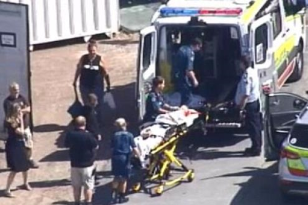 Артистка Цирка дю-Солей сорвалась с большой высоты во время шоу Артистка Цирка дю-Солей сорвалась с большой высоты во время шоу