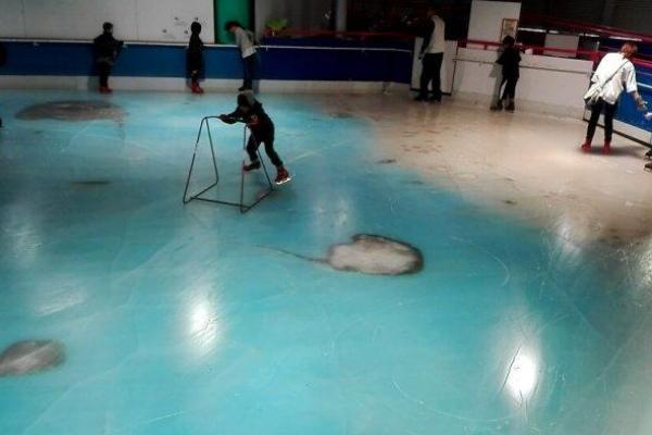 В Японии со скандалом закрыли каток, во льду которого заморожено 5 тысяч рыб В Японии со скандалом закрыли каток, во льду которого заморожено 5 тысяч рыб