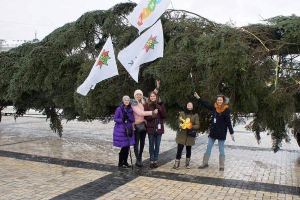 В Киеве на Софийской площади установили главную елку страны