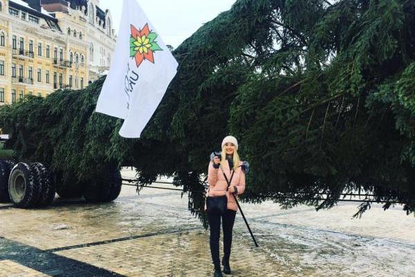 В Киеве на Софийской площади установили главную елку страны