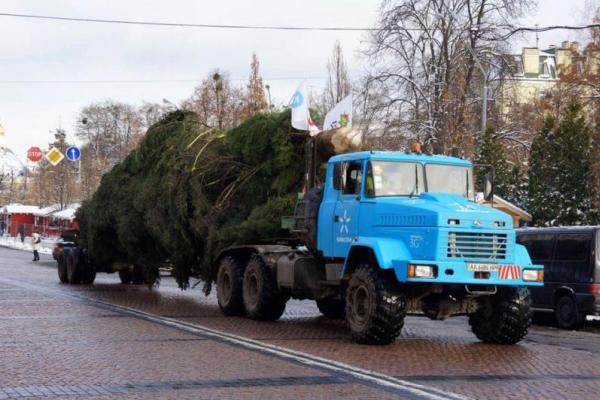 В Киеве на Софийской площади установили главную елку страны