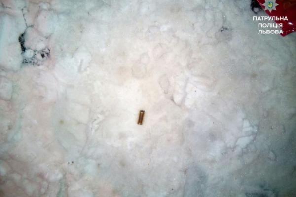 Во Львове компания, которой не понравился репертуар уличного музыканта, открыла стрельбу из пистолета Во Львове компания, которой не понравился репертуар уличного музыканта, открыла стрельбу из пистолета