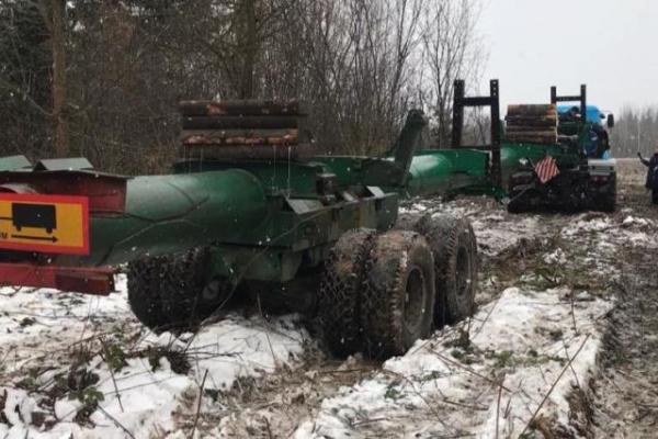 В Киев с Прикарпатья отправилась главная елка страны