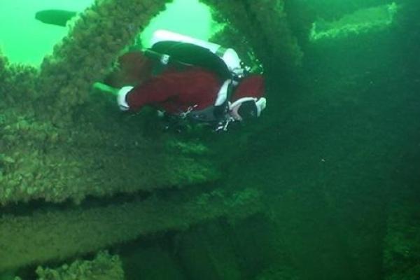 На дне Одесского залива дайверы установили новогоднюю елку На дне Одесского залива дайверы установили новогоднюю елку