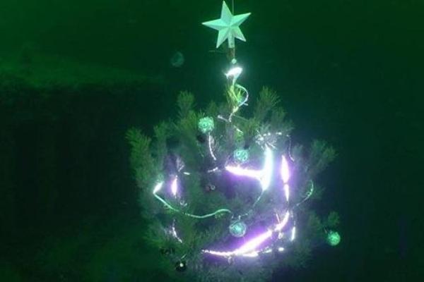 На дне Одесского залива дайверы установили новогоднюю елку На дне Одесского залива дайверы установили новогоднюю елку