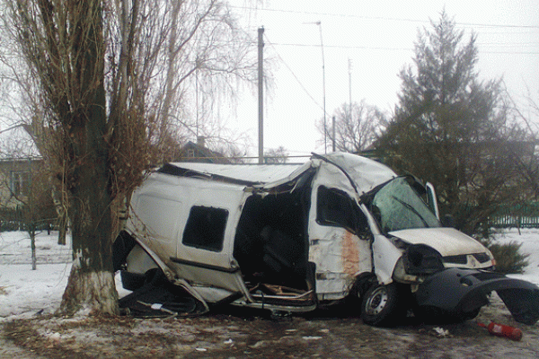 На Луганщине микроавтобус "Renault Master" слетел с трассы и врезался в дерево: пострадало 10 человек