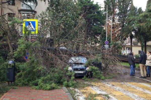 В российском Сочи устраняют последствия разбушевавшегося урагана В российском Сочи устраняют последствия разбушевавшегося урагана