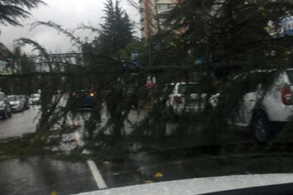 В российском Сочи устраняют последствия разбушевавшегося урагана В российском Сочи устраняют последствия разбушевавшегося урагана