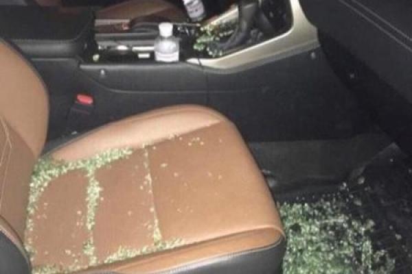 В Киеве совершено разбойное нападение на оперную певицу Наталью Шелепницкую