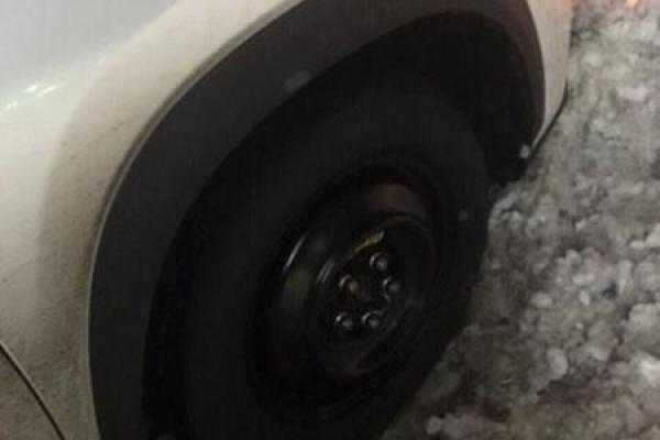В Киеве совершено разбойное нападение на оперную певицу Наталью Шелепницкую