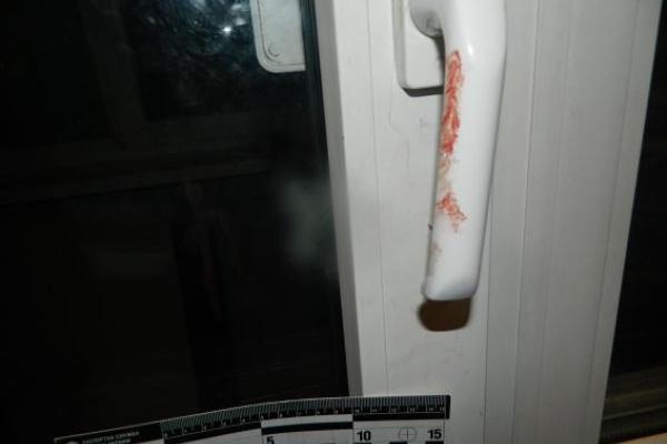 В Киеве мужчина, угрожая ножом и пистолетом, "обчистил" свою сожительницу В Киеве мужчина, угрожая ножом и пистолетом, "обчистил" свою сожительницу