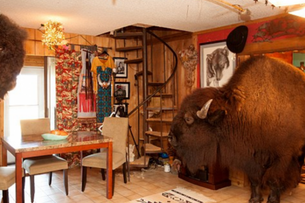 Американская супружеская пара из штата Техас приютила в своем доме огромного бизона