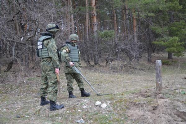 В Луганской области силовики обнаружили в лесу два схрона боевиков
