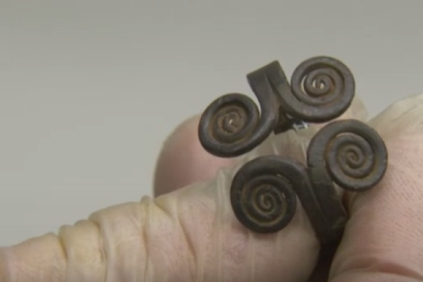 В Эстонии найден ценный клад поздней эпохи викингов