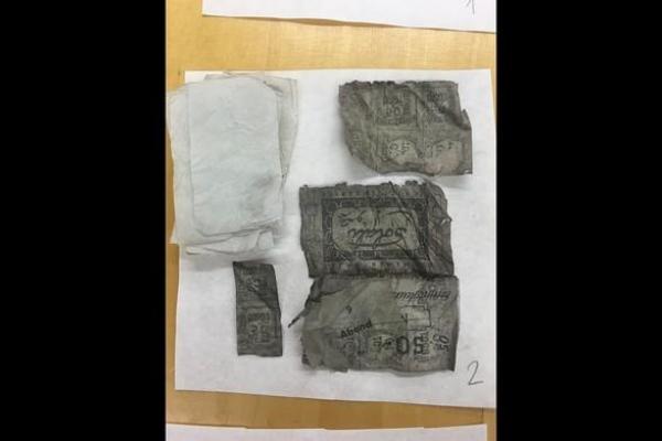 Школьник из Дании откопал немецкий истребитель с пилотом, разбившийся в 1944 году