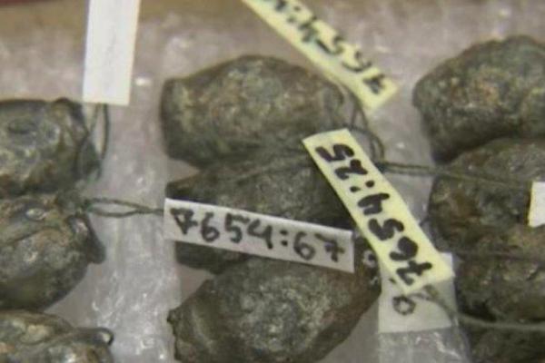 В Эстонии найден ценный клад поздней эпохи викингов