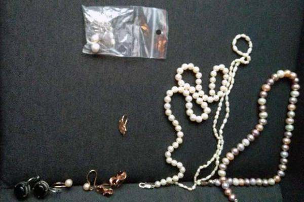 В Киеве квартирные воры сразу после кражи с "уловом" попались в руки правоохранителей