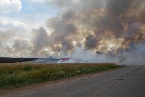 В Донецкой области пожар уничтожил более 60 га пшеницы