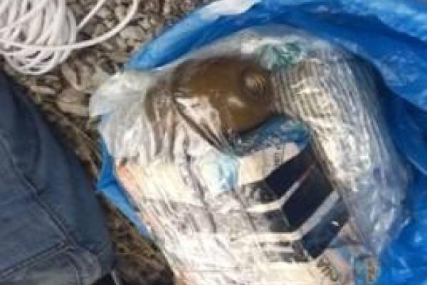 Российские спецслужбы готовили в Мариуполе кровавые теракты - СБУ