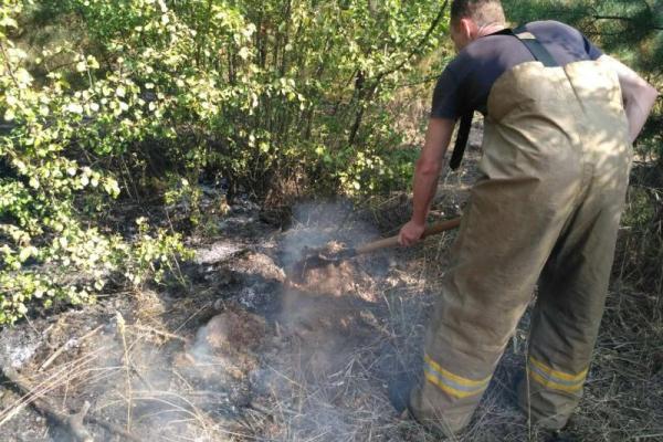 В Харьковской области горит лес: к тушению пожара привлекли 2 самолета АН-32 П В Харьковской области горит лес: к тушению пожара привлекли 2 самолета АН-32 П