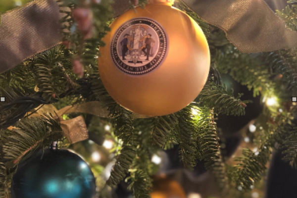 Первая леди США Мелания Трамп украсила Белый дом к Рождеству