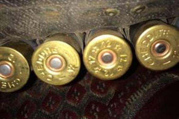 На админгранице с Крымом пограничники изъяли патроны, спрятанные в иномарках На админгранице с Крымом пограничники изъяли патроны, спрятанные в иномарках