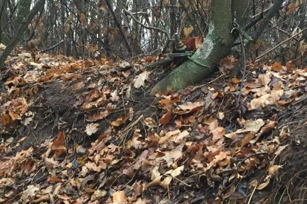 СБУ обнаружила на Донбассе очередной тайник с боеприпасами от "ихтамнетов" СБУ обнаружила на Донбассе очередной тайник с боеприпасами от "ихтамнетов"