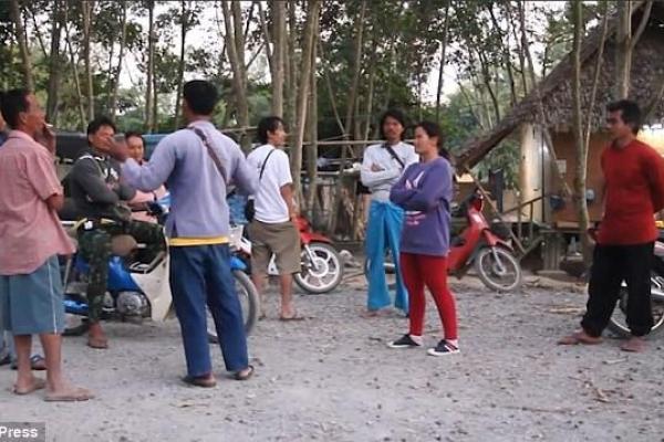 В Таиланде туристы напугали слона и он растоптал гида на глазах отдыхающих