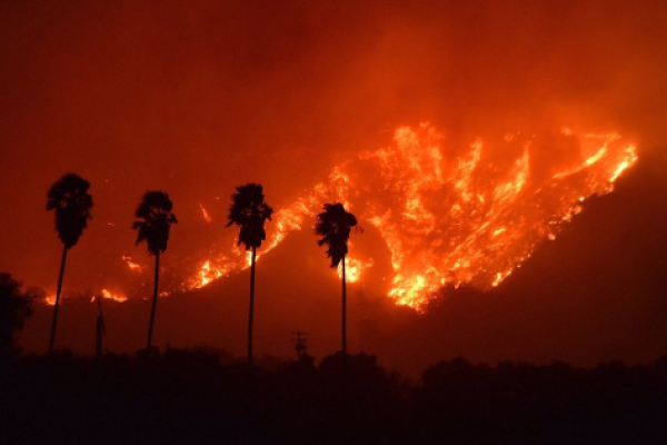 В Калифорнии бушуют пожары: продолжается эвакуация населения, известно имя первой жертвы