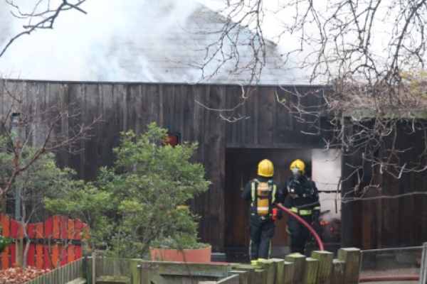 В Лондонском зоопарке произошел масштабный пожар В Лондонском зоопарке произошел масштабный пожар