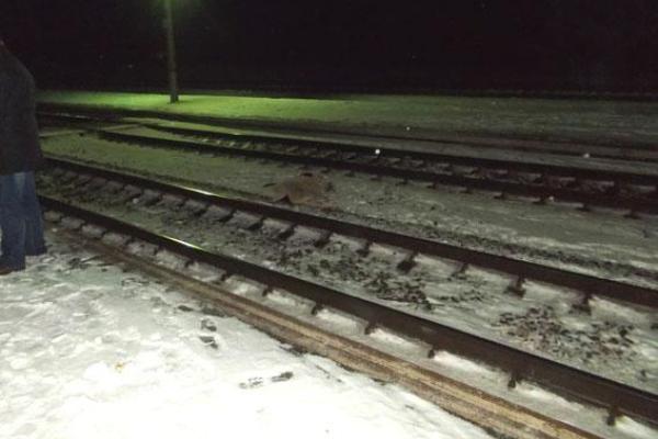В Ровенской области женщина с сыном попали под поезд: мать погибла на месте происшествия В Ровенской области женщина с сыном попали под поезд: мать погибла на месте происшествия