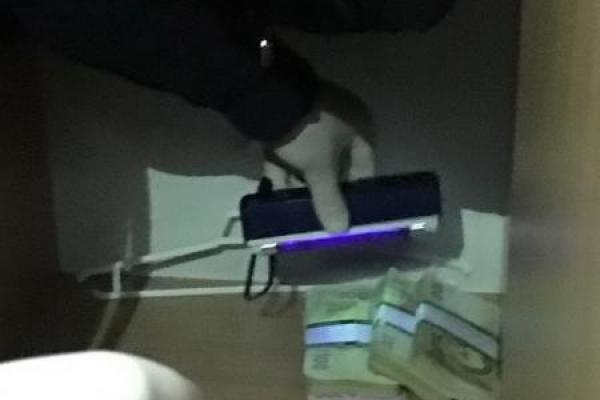 Во Львове чиновники требовали 50 тысяч грн за установление группы инвалидности Во Львове чиновники требовали 50 тысяч грн за установление группы инвалидности