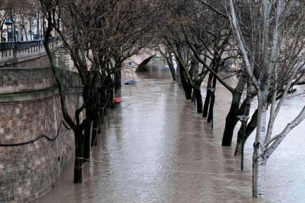 Улицы и парки Парижа утонули в воде: река Сена вышла из берегов Улицы и парки Парижа утонули в воде: река Сена вышла из берегов