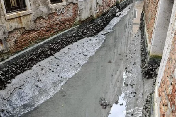 Лодки на приколе и безработные гондольеры: в Венеции высохли каналы