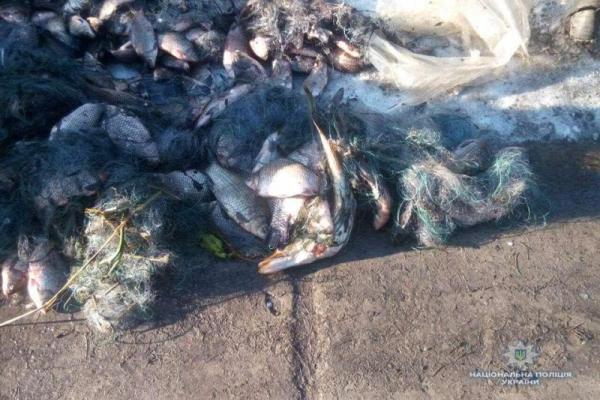 На Киевщине экс-начальника районной рыбинспекции задержали за браконьерство На Киевщине экс-начальника районной рыбинспекции задержали за браконьерство