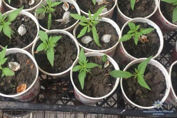 На Львовщине задержали двух местных жителей, организовавших нарколабораторию На Львовщине задержали двух местных жителей, организовавших нарколабораторию