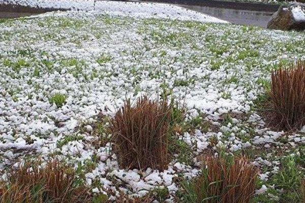 Сюрпризы погоды: Францию засыпало снегом Сюрпризы погоды: Францию засыпало снегом