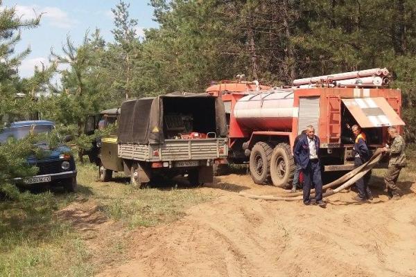 Под Северодонецком из-за обстрелов вражеской артиллерии выгорело 15 га леса