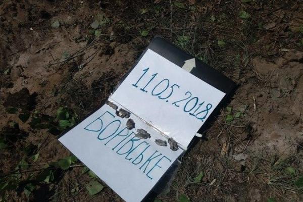 Под Северодонецком из-за обстрелов вражеской артиллерии выгорело 15 га леса