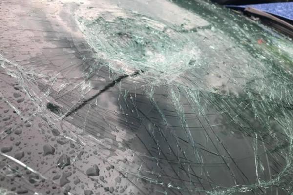 В Словении огромный град крушил автомобили и крыши домов: впечатляющее видео В Словении огромный град крушил автомобили и крыши домов: впечатляющее видео