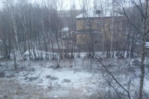 Снег, метель и заморозки: Погода преподнесла летние сюрпризы для жителей России
