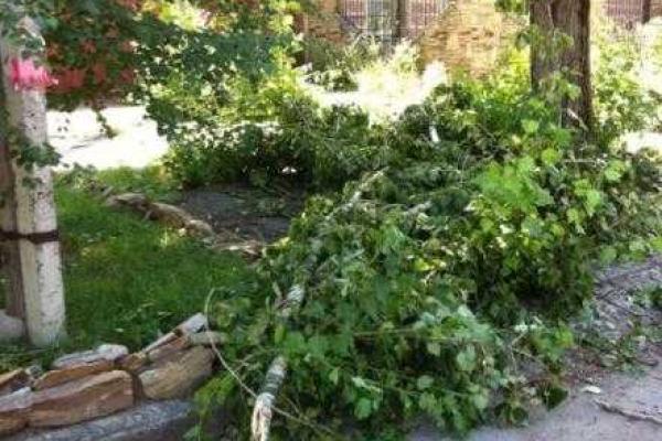 Луганчанка описала подробности разгрома центра города Луганчанка описала подробности разгрома центра города