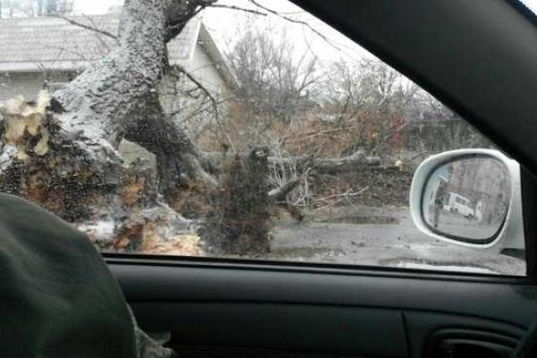 Водоснабжение в Горловке восстановлено - последствия урагана