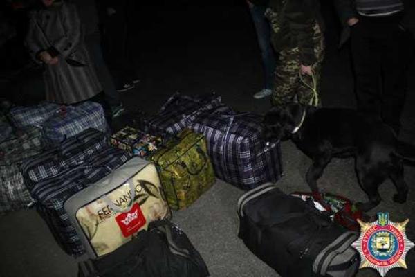 В Мариуполе милиционеры отменили нелегальный автобусный рейс за границу  В Мариуполе милиционеры отменили нелегальный автобусный рейс за границу