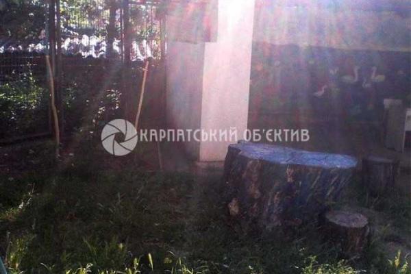 В Ужгороде воспитатель бьет детей... за помидоры В Ужгороде воспитатель бьет детей... за помидоры