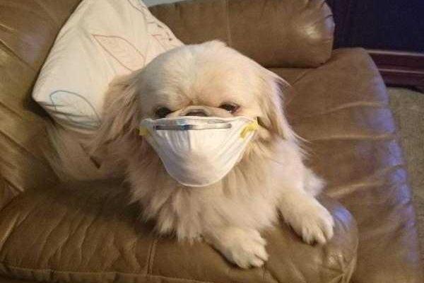 Репортаж из соцсетей: Извержение вулкана в Эквадоре